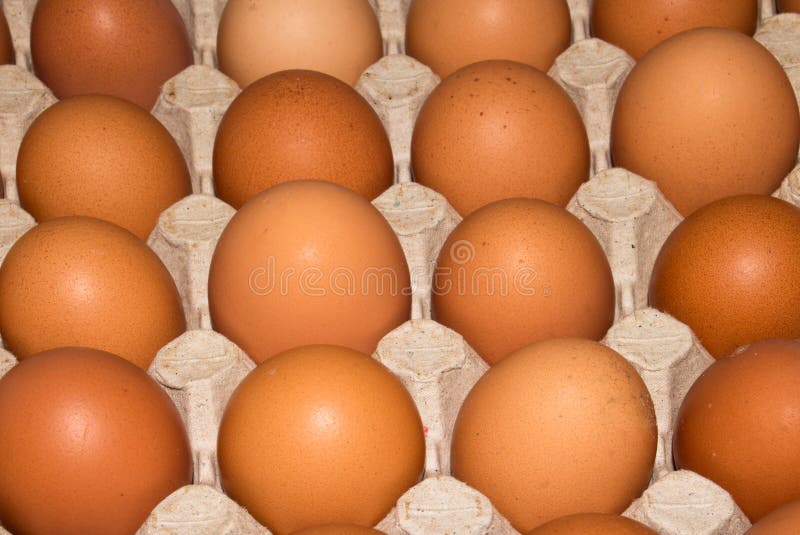 Eggs are broiler eggs. stock photo. Image of eggsbackground 148636232