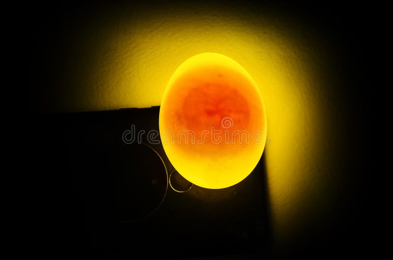 Eggs are Candled To Observe the Development of the Embryo. the Air