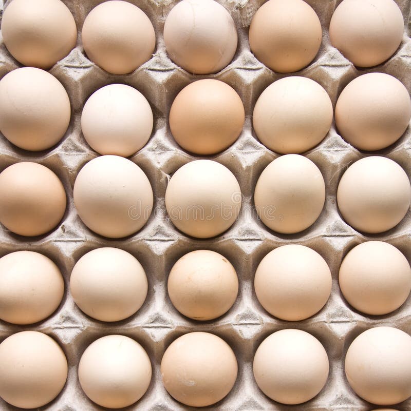 Eggs in cardboard container stock photos