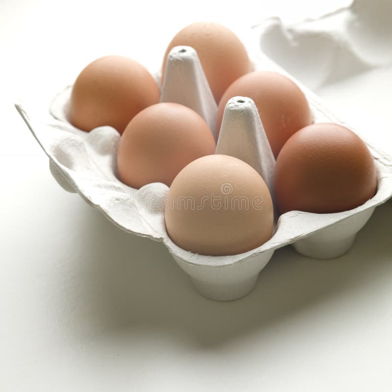 Eggs in Carton stock image. Image of group, closeup, package 13592839