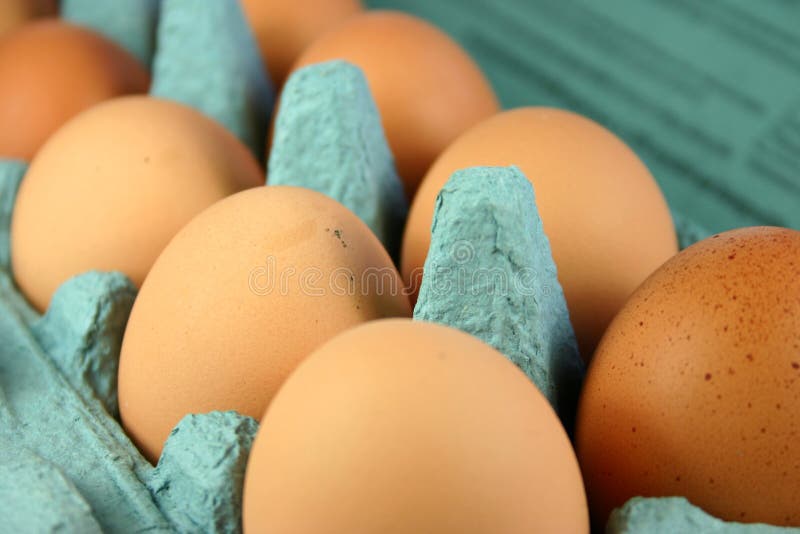 Eggs in Carton stock photo. Image of eggbox, eggs, healthy 280088