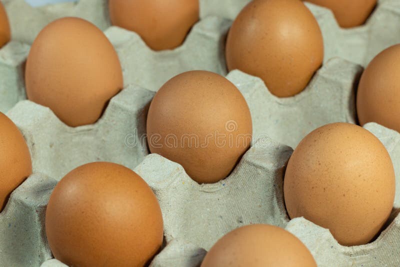 Eggs in Carton Box Packaging Stock Image Image of nature, group