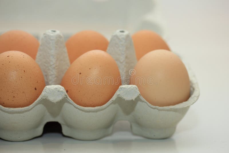 Eggs in a carton box stock photo. Image of open, easter 85105062