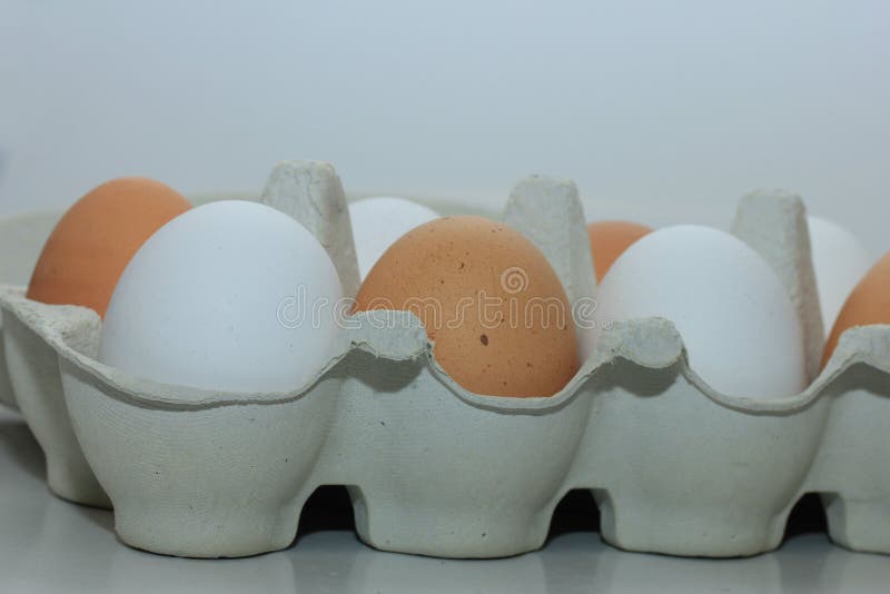 Eggs in a carton box stock photo. Image of container 109704716