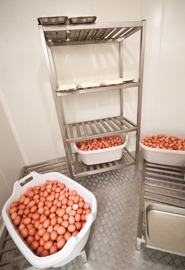 Eggs in cold storage stock photography