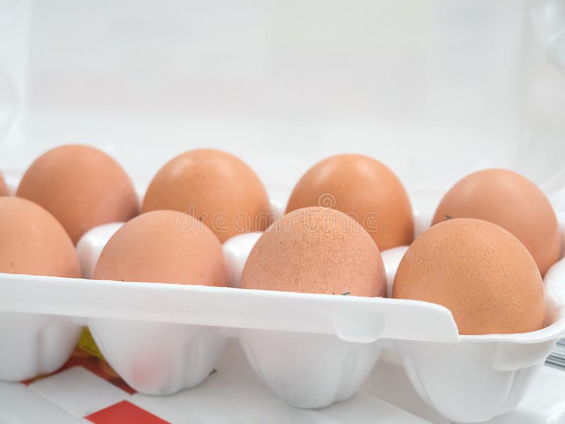 За сколько продать яйцо. Чистое яйцо контейнер. Скупка человеческих яиц. Продать яйцо человеческое. 4 Яйца стоят в ряд.