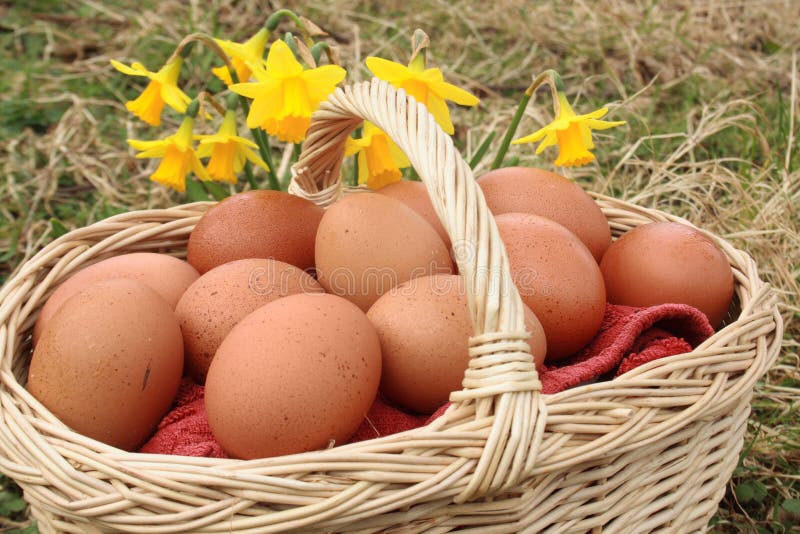 Eggs and daffodils