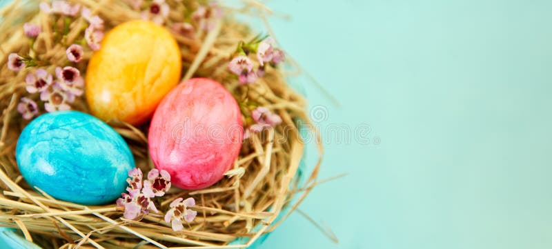 Eggs for Easter in the Nest As a Panorama Header Stock Photo - Image of
