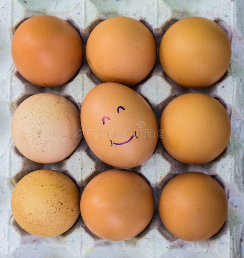 Eggs with faces stock image. Image of eggs, healthy, nature 48398529