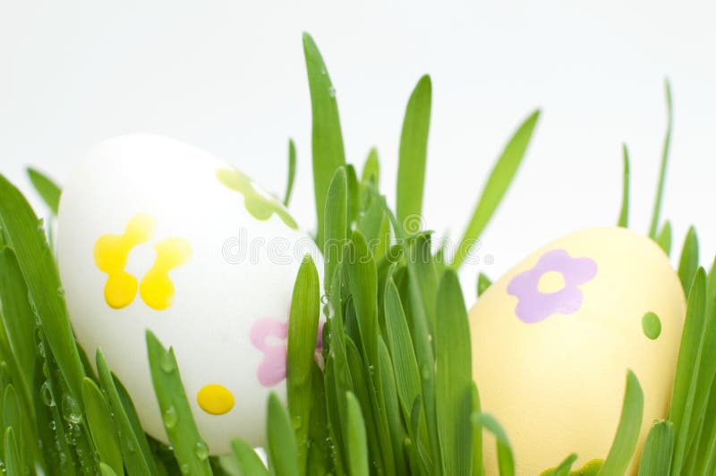 Eggs and grass stock photo. Image of close, macro, white 18727472