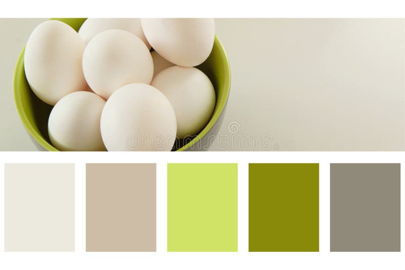 Eggs in green bowl in a colour palette