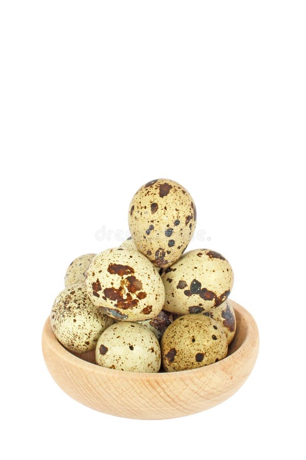 Eggs of japanese quail stock image. Image of bird, white 16460783