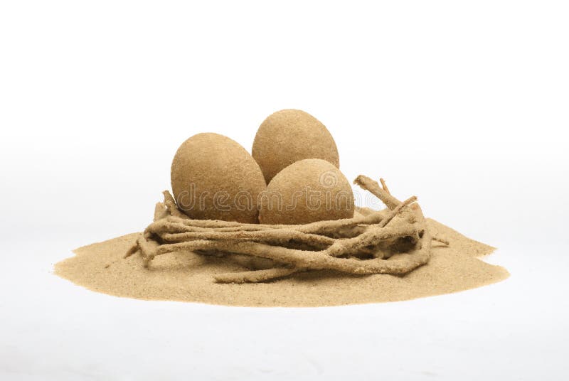 Eggs Made of Sand in the Sandy Nest Stock Image Image of texture