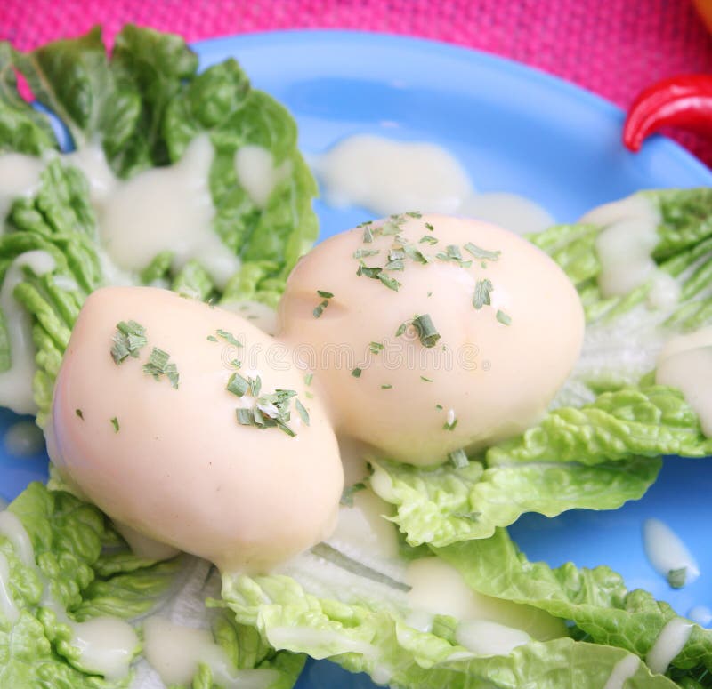 Eggs with mustard sauce stock image. Image of fresh, sauce 39200073