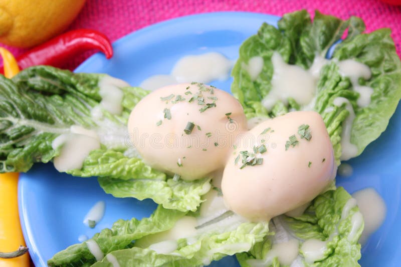 Eggs with mustard sauce stock photo. Image of mustard 39200632