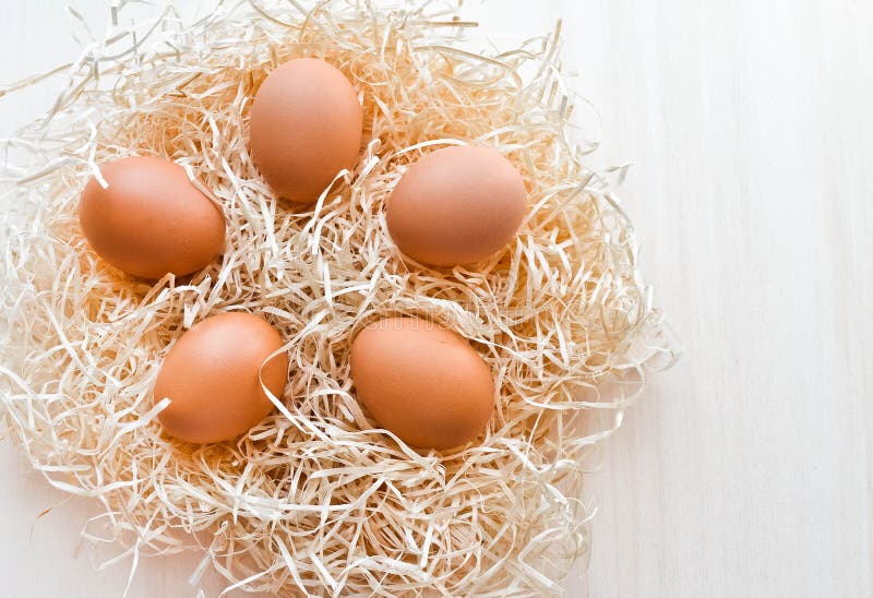 Eggs in a nest stock image. Image of nest, straw, fresh 53699827