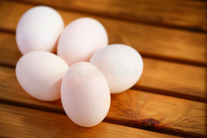 Eggs in Nest on the Nature, Fresh Eggs for Cooking or Raw Material