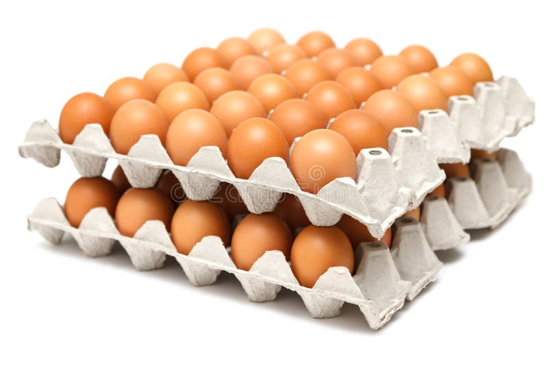 Eggs in paper tray