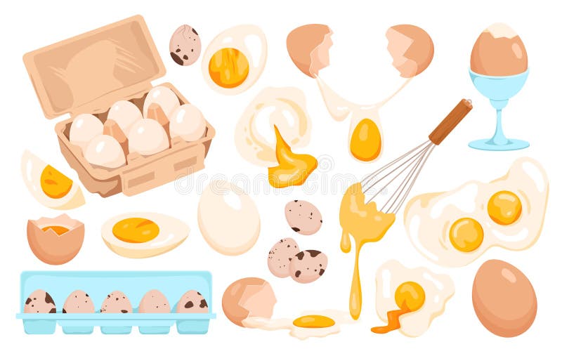 Eggs set, whole fresh, fried or boiled egg in shell or peeled, cut in half and quarter royalty free illustration