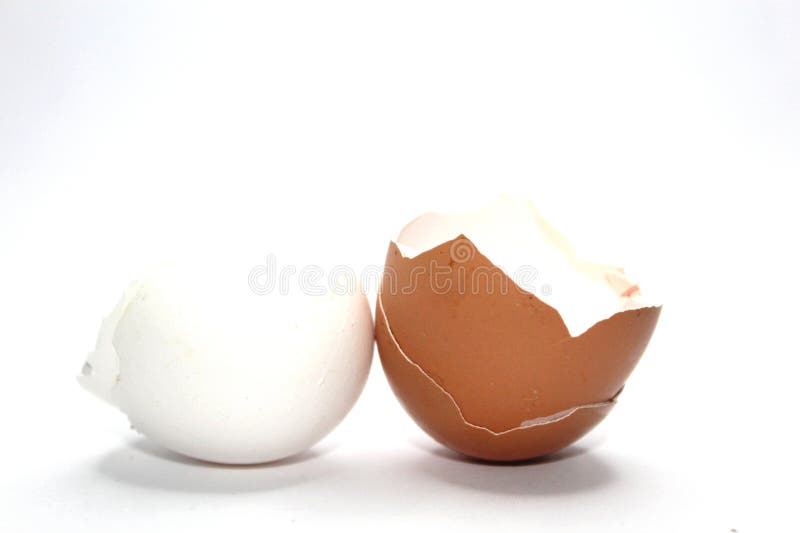 Eggs shells empty white and brown detail stock photo