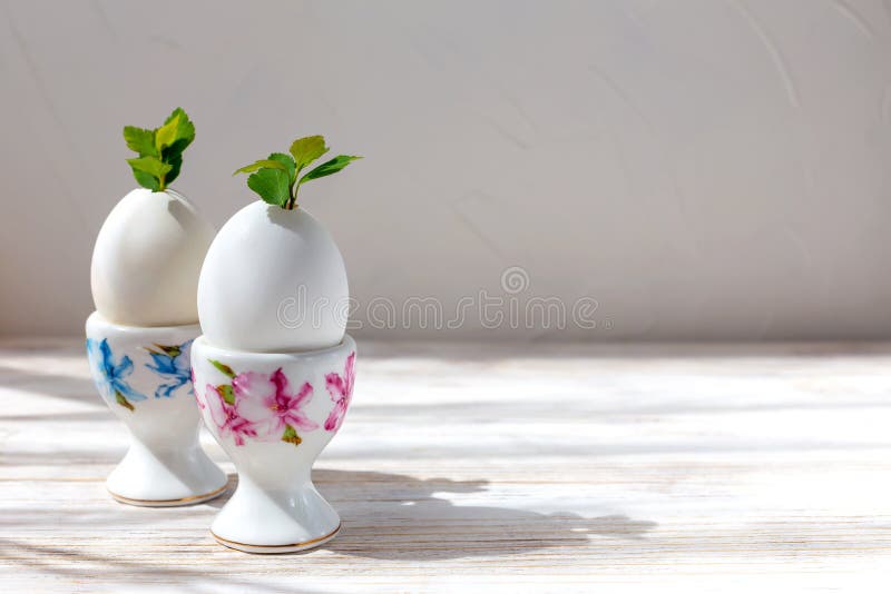 Eggs with Sprout in a Stand Stock Image Image of spring, growth