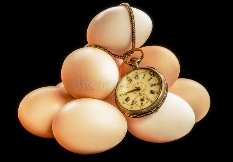 Eggs time stock photo. Image of back, calorie, copy, depraved 92119420