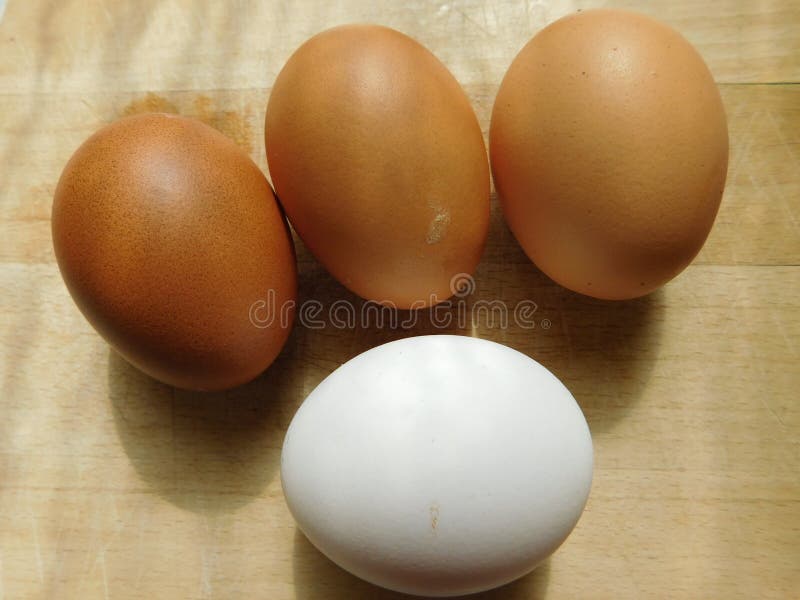 Eggs stock image. Image of dairy, eggs, food, group, fragile 62353969