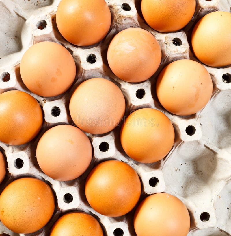 Eggs on tray stock image. Image of diet, cooked, hard 48878715