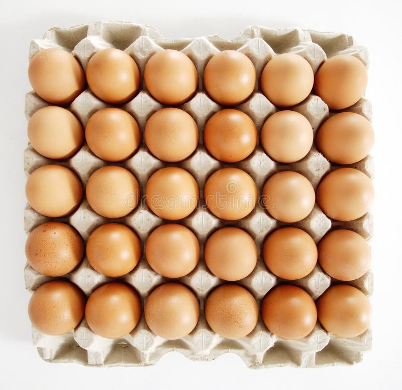 Eggs In A Tray On White Background stock photos