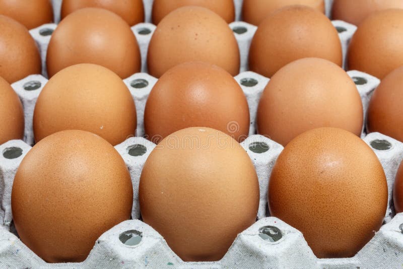 Eggs stock photo. Image of fragility, group, ingredient 42437396