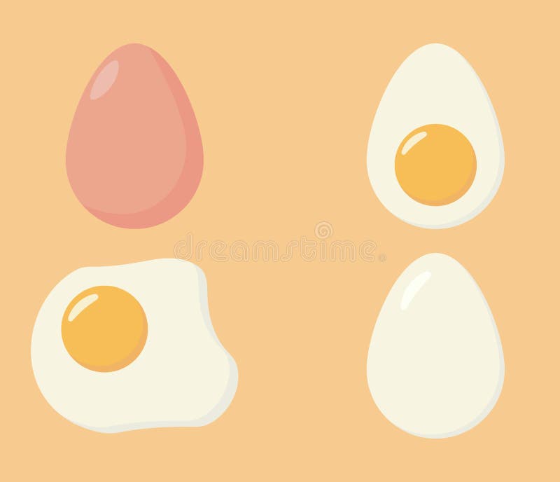 Eggs in various forms. Set of fried, boiled, half, vector illustration. Cartoon egg isolated on white stock illustration.