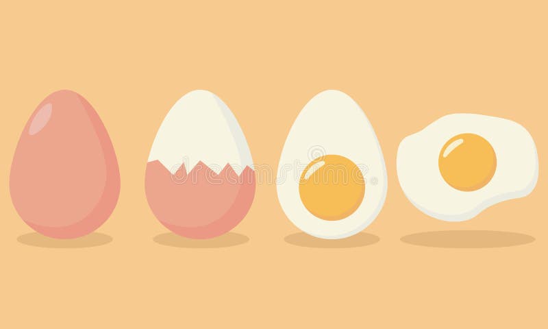 Eggs in various forms. Set of fried, boiled, half, vector illustration. Cartoon egg isolated on white stock illustration.