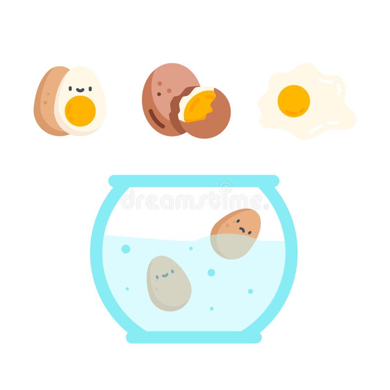 Eggs in various forms Vector illustration. stock illustration