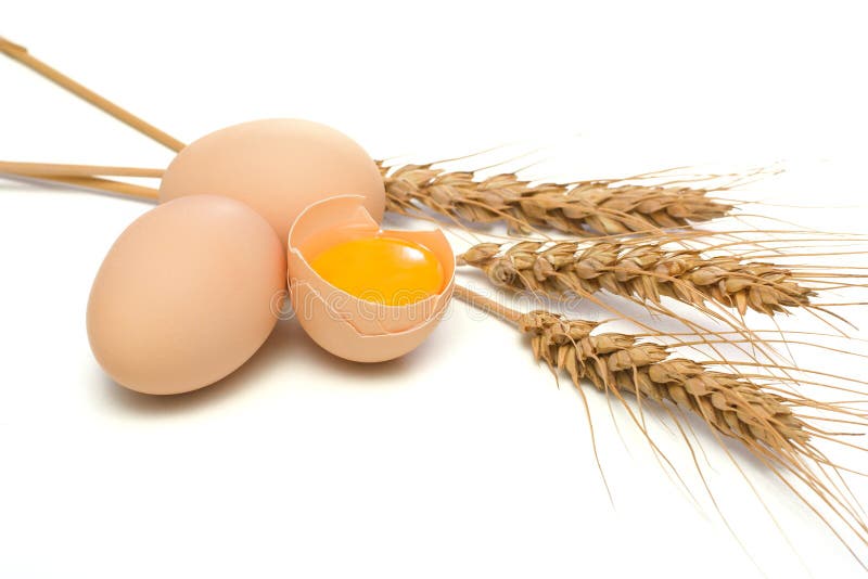 Eggs and wheat ear stock photo. Image of white, broken 6673898
