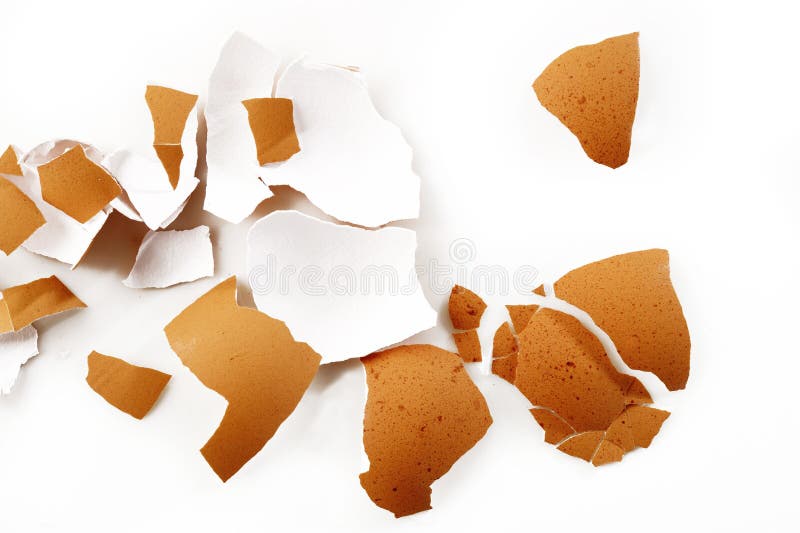 eggshell στοκ φωτογραφίες eggshell στοκ φωτογραφίες