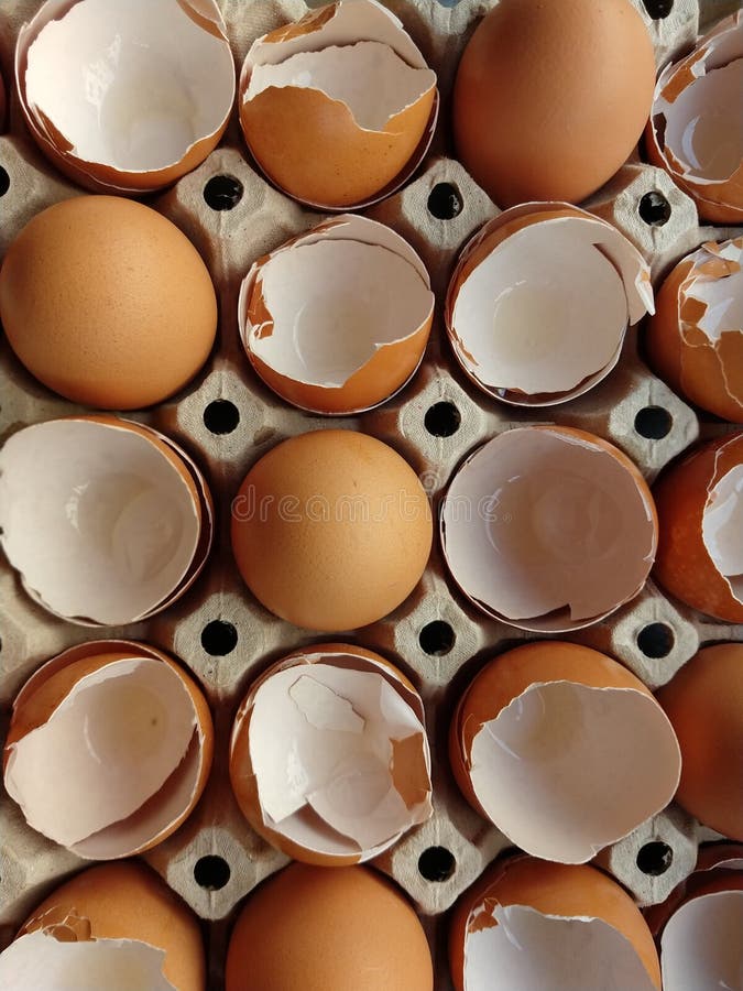 Αυγά και eggshell στοκ εικόνα με δικαίωμα ελεύθερης χρήσης Αυγά και eggshell στοκ εικόνα με δικαίωμα ελεύθερης χρήσης