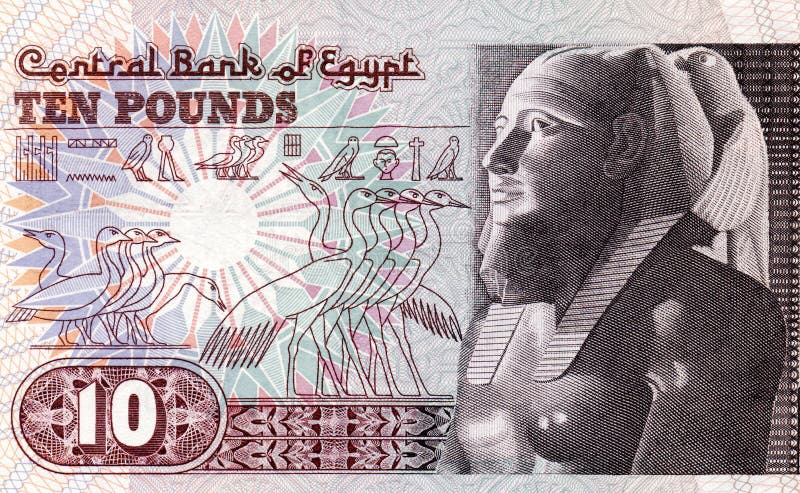 Egypt ten pounds close up. Egypt ten pounds close up