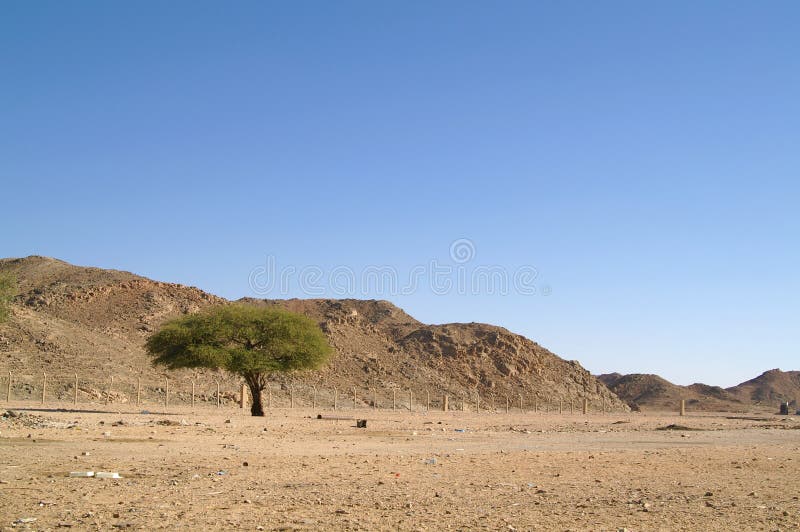 Egypt, savannah stock image. Image of climate, dune 220096053