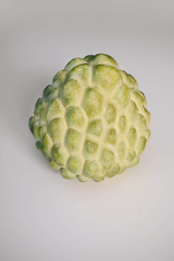 Texture Shell of Cherimoya Sugar Apple Eshta Fruit Stock Photo - Image ...