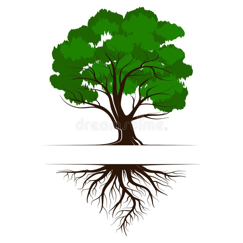 Eiche ein grüner Lebenbaum mit Wurzeln und Blättern Vektorillustrationsikone lokalisiert auf weißem Hintergrund vektor abbildung