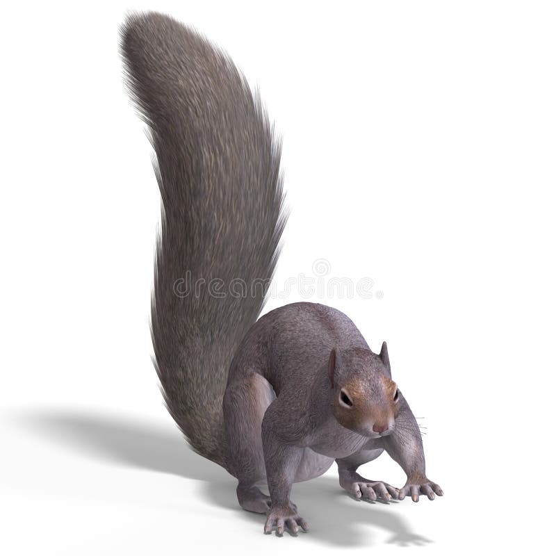 Eichhörnchen und Meise sowie mit Fliegenpilz 3D-Wackellesezeichen mit 2 Bildern 