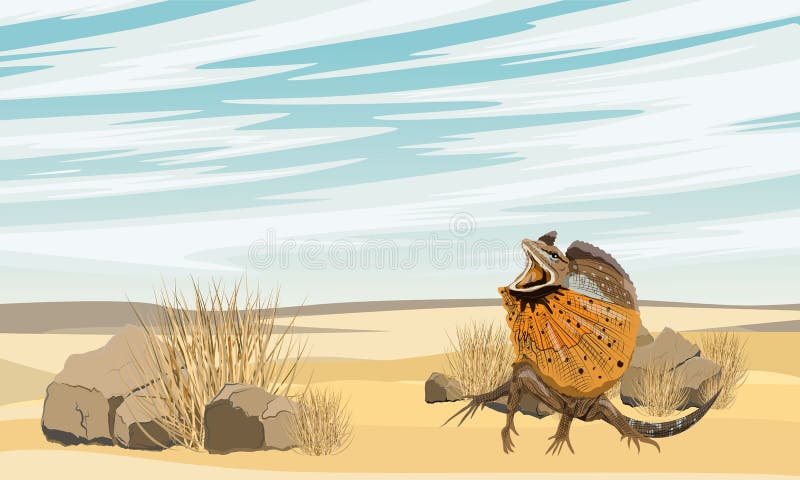 Frilled Lizards are sitting in the desert. Chlamydosaurus kingii or frill-necked lizard, frilled dragon or frilled agama. Wild reptiles of Australia and New Guinea. Realistic vector. Frilled Lizards are sitting in the desert. Chlamydosaurus kingii or frill-necked lizard, frilled dragon or frilled agama. Wild reptiles of Australia and New Guinea. Realistic vector