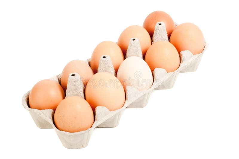 Eier Dutzend Stockbild Bild Von Dutzend Eier