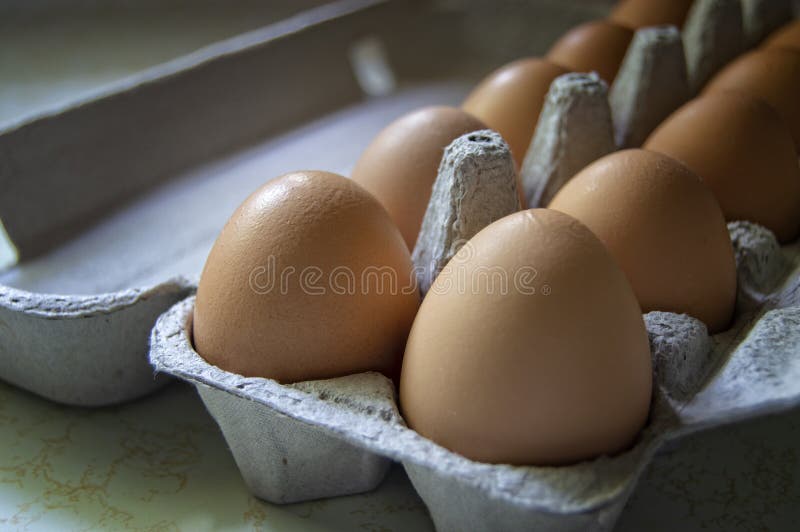 Eier in einem Karton stockfotografie Eier in einem Karton stockfotografie