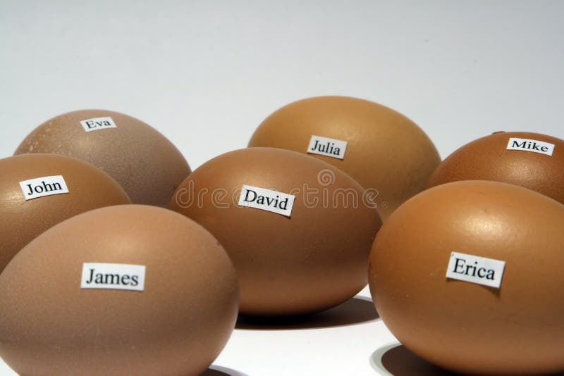 Chicken eggs with human names, white background. Chicken eggs with human names, white background.