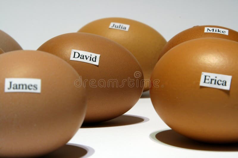 Chicken eggs with human names, white background. Chicken eggs with human names, white background.