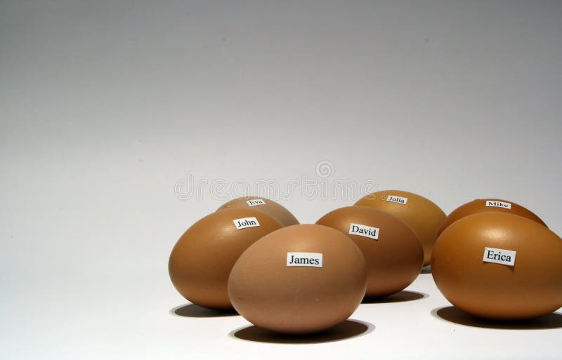 Chicken eggs with human names, white background. Chicken eggs with human names, white background.