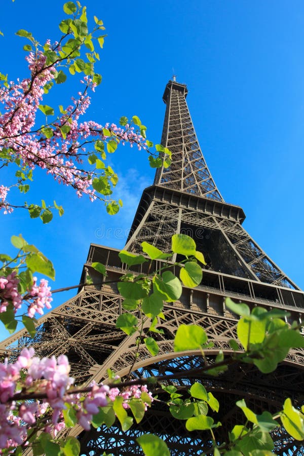 Eiffel Tower with cherries in Paris France