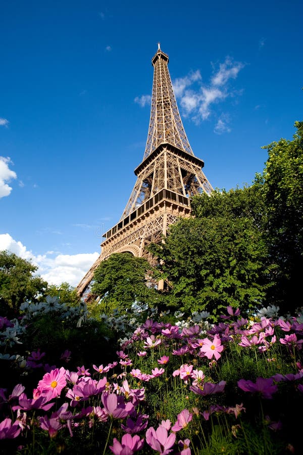 Eiffel Tower Pink Flowers Foreground Stock Photos Free & RoyaltyFree