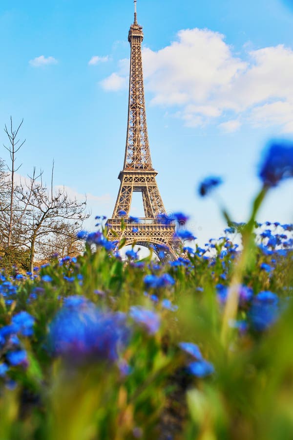 Eiffel Tower Seen Through Beautiful Blue Flowers In Paris Stock Image